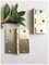 Durable Electrophic Plated Heavy Door Hinge One Pair With Screws Into Box