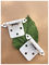 Steel Bp Metal Butterfly Cabinet Hinges , Chrome Butterfly Hinges Satin Nickel Plated